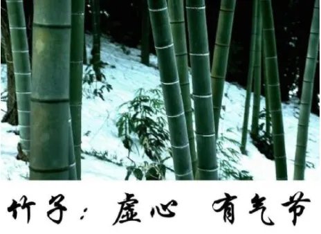 托物言志与象征的区别