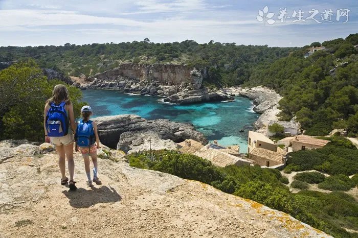 黄发晶和黄水晶的区别 黄发晶和黄水晶哪个好