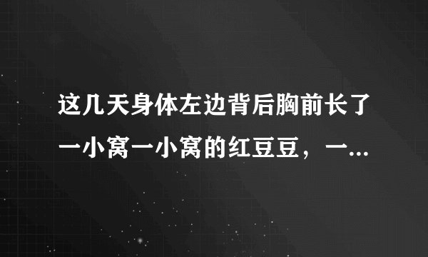 这几天身体左边背后胸前长了一小窝一小窝的红豆豆，一...