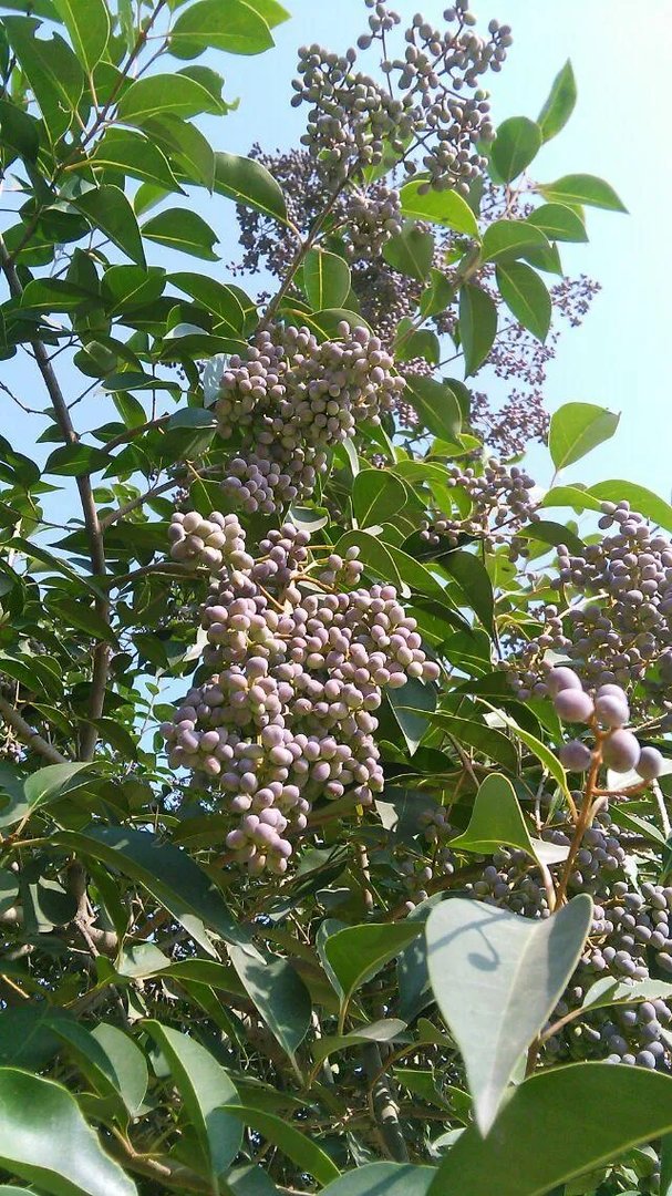 秋风冷雨夜，一夜冷一夜。如何对下联？