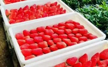 2023年农历正月初九黄道吉日时辰吉凶 今日最好的时辰