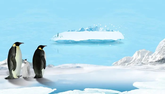企鹅是鸟类吗 企鹅是鸟类吗还是兽类
