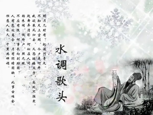 不应有根，何事长向别时圆？ 这首诗是什么 整首诗是什么