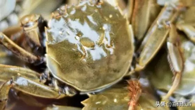 泰州有哪些特产呢?