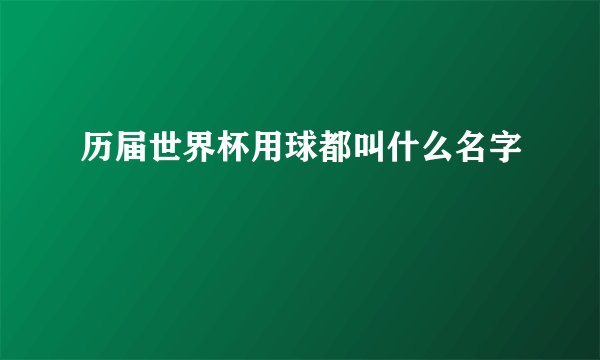 历届世界杯用球都叫什么名字
