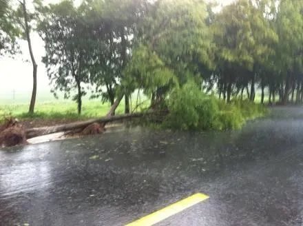 上联:春风似剪，剪开红花数万朵。求下联？