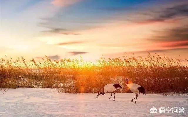 齐齐哈尔的二手房房价大概是多少呢？