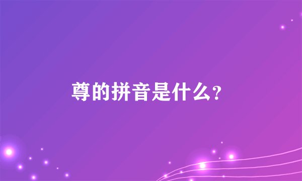 尊的拼音是什么？