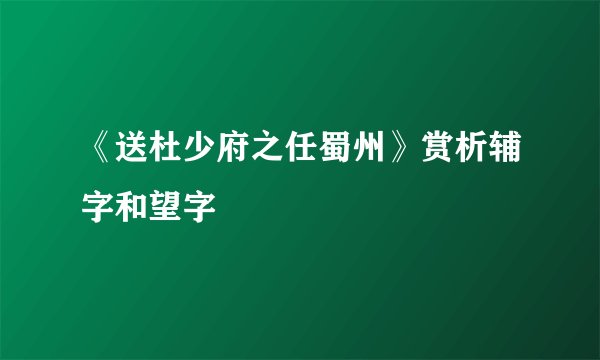 《送杜少府之任蜀州》赏析辅字和望字
