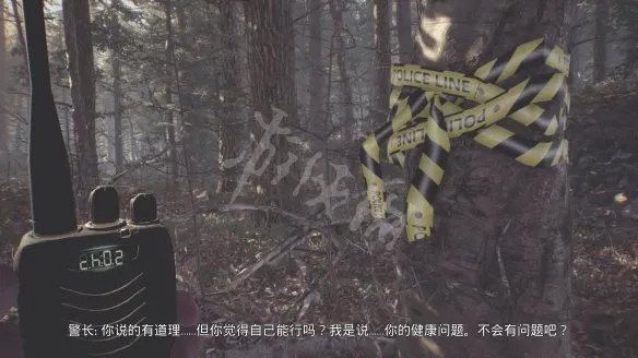 《布莱尔女巫》图文攻略:全解谜步骤+全线索详解+全剧情流程+游戏操作+游戏介绍【游侠攻略组】