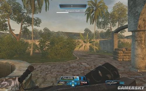 详细图文流程攻略 乌鸦小队：藏刃行动