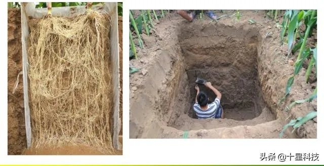 今天全国项城天气查询