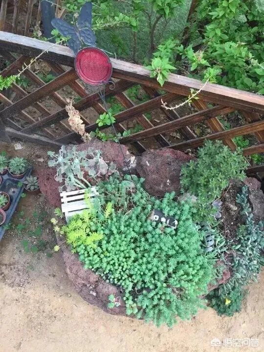 青岛西海岸未来的发展方向是怎样的?