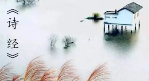 你是风儿我是沙表达什么意思