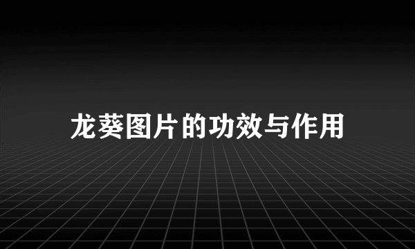 龙葵图片的功效与作用