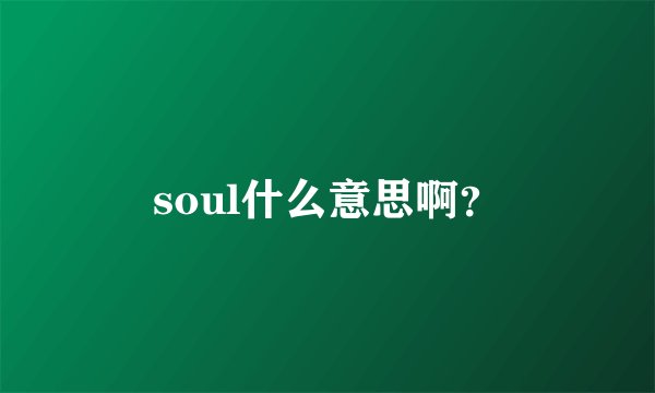 soul什么意思啊？