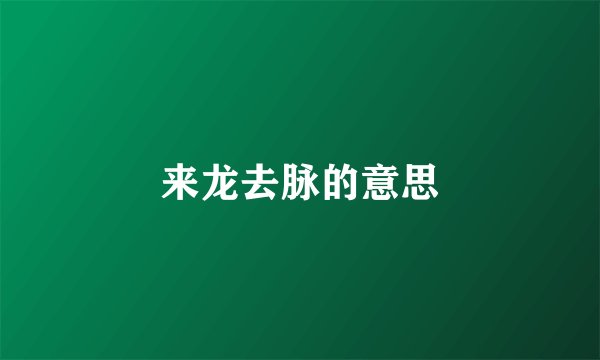 来龙去脉的意思