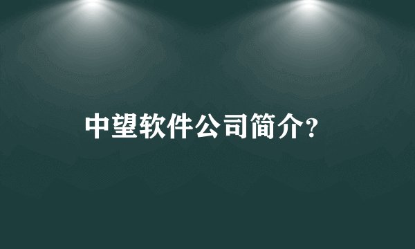 中望软件公司简介？