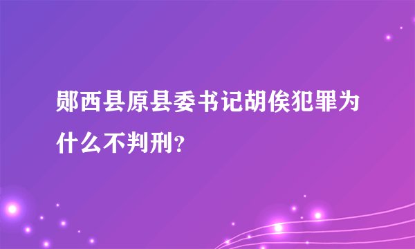郧西县原县委书记胡俟犯罪为什么不判刑？