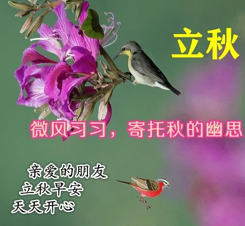 关于立秋的古诗2022立秋早上好图片？