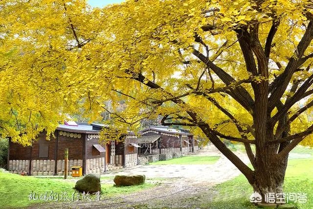 随州有哪些著名的旅游景点？