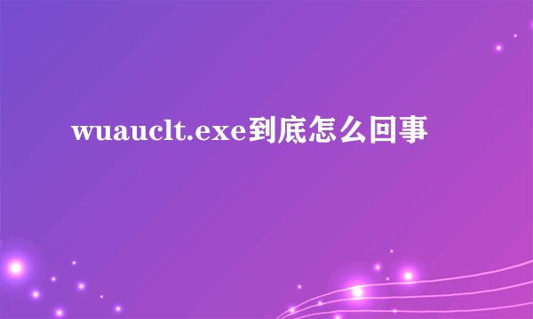 wuauclt.exe到底怎么回事