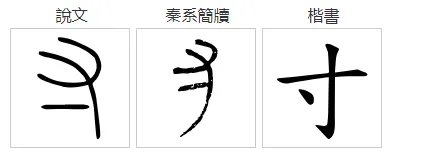 寸字组词有哪些