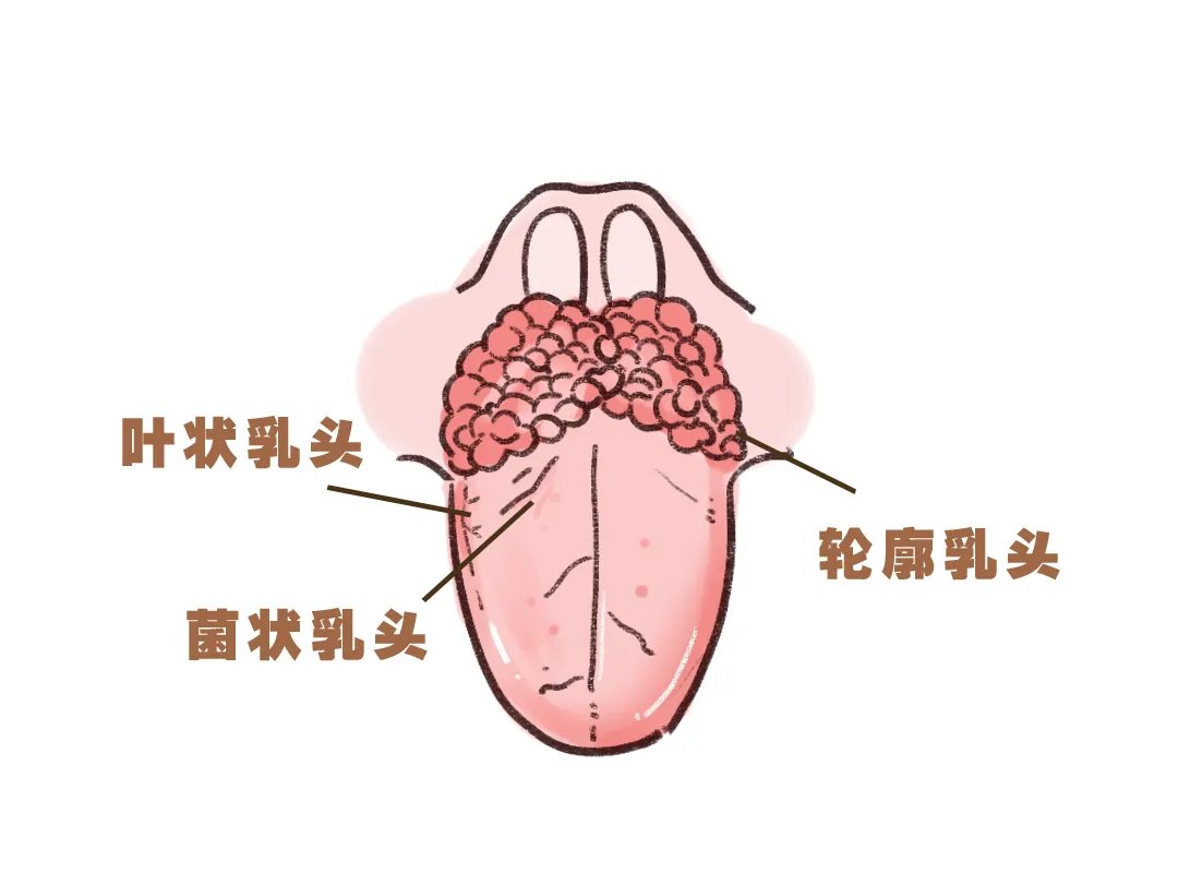 接吻有什么好处？