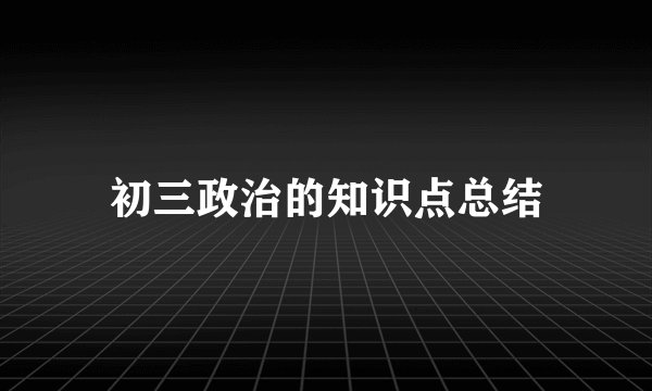 初三政治的知识点总结