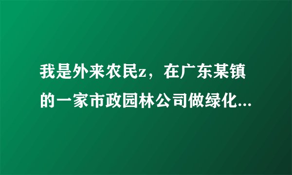我是外来农民z，在广东某镇的一家市政园林公司做绿化工，自去年7月1日起承包了一条路段的绿化带责任区，至今沒有签定书面劳动合同，没买社保，现通知不承包给我做了，我可以向公司提出双倍的工资赔偿吗？还有我自已买的工具可否赔损吗？