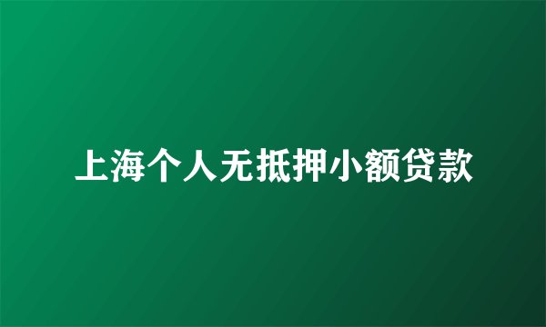 上海个人无抵押小额贷款