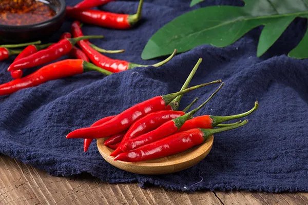 肠胃不好经常拉肚子怎么调理