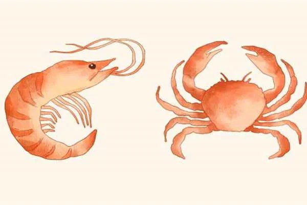 死螃蟹还能吃吗