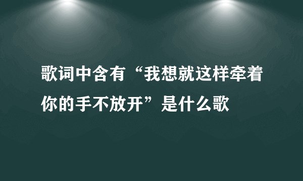 歌词中含有“我想就这样牵着你的手不放开”是什么歌