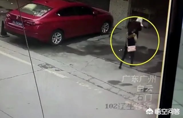 广州一女子被高空掉落的狗砸成重伤你怎么看?