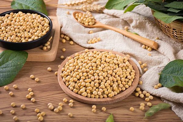 子宫内膜薄吃什么补得最快