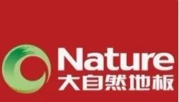 2020木地板十大品牌排名