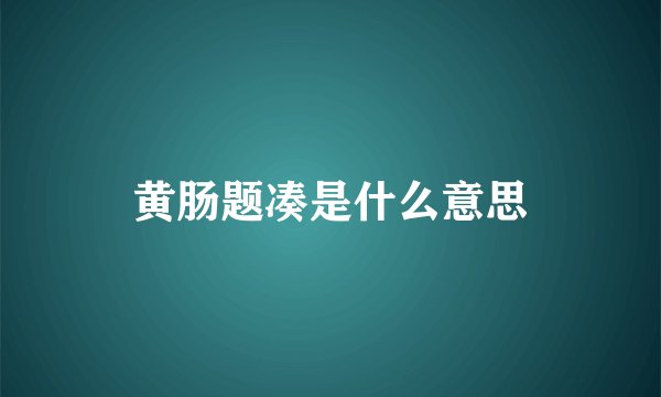黄肠题凑是什么意思