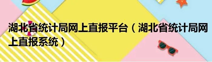 湖北省统计局网上直报平台（湖北省统计局网上直报系统）