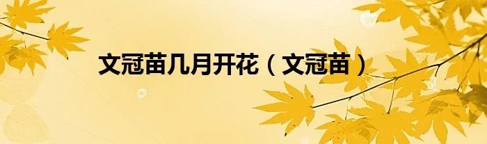 文冠苗几月开花（文冠苗）