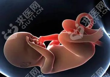 北京大学深圳医院试管婴儿流程是怎样的?