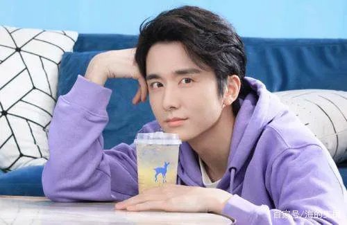 关于演员张新成，你知道他的多少事情？