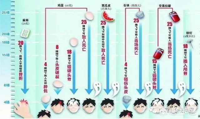 广州一女子被高空掉落的狗砸成重伤你怎么看?