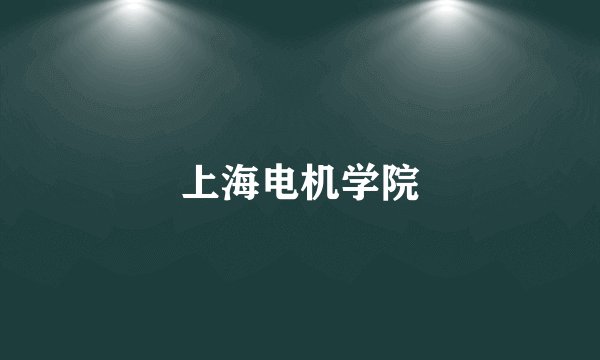 上海电机学院