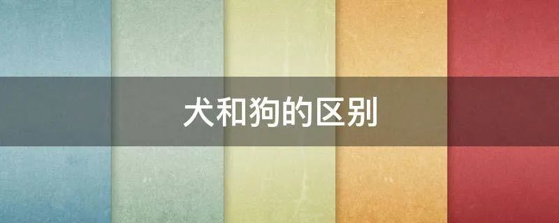 犬和狗的区别