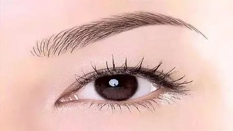 脸大纹什么样的眉毛好看