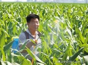 今天全国项城天气查询