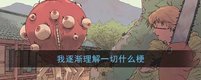 我逐渐理解一切什么梗