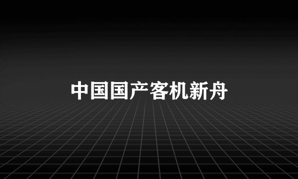 中国国产客机新舟