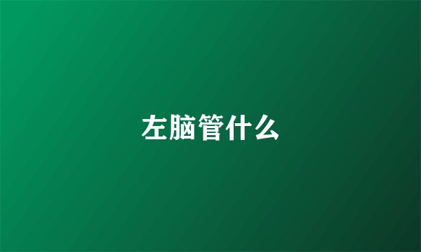 左脑管什么